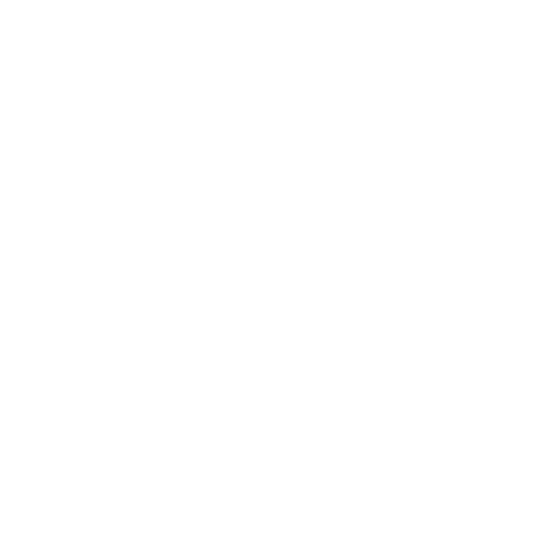 HRButler_Icons_Custom_Solutions